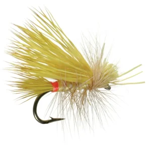 LITTLE YELLOW STONE CADDIS SALLY